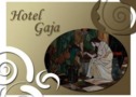 Hotel Gaja***